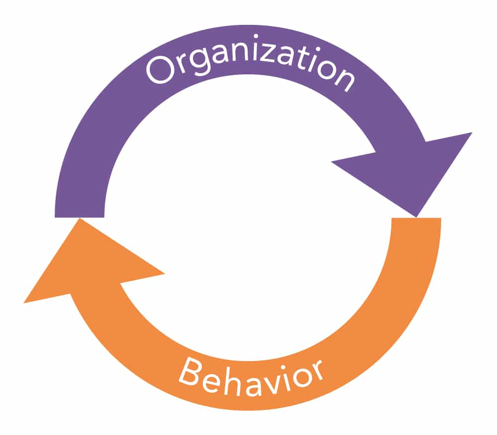 Organization Behaviour Essay